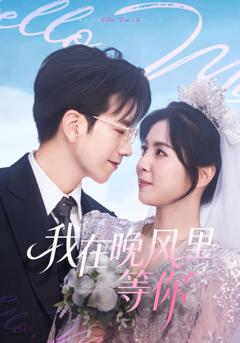 我在晚风里等你