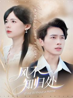 《风不知归处》