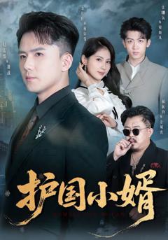 《护国小婿》