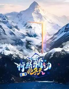 怦然“新”动的冬天第二季