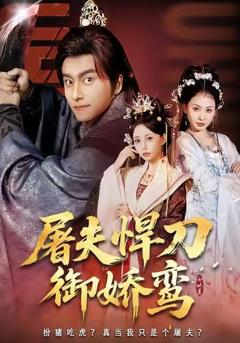 屠夫悍刀御娇鸾