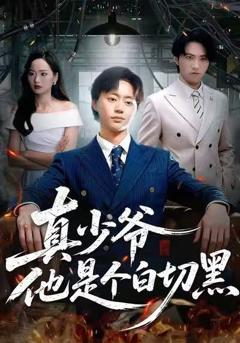 真少爷他是个白切黑