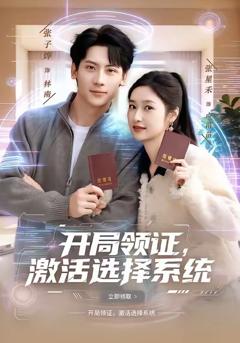 开局领证，激活选择系统