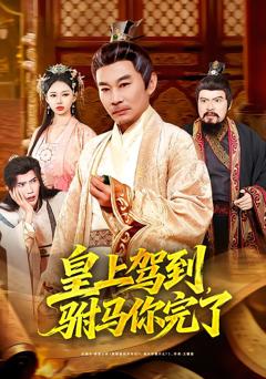 《皇上驾到，驸马你完了》