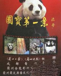 《国宝第一案》