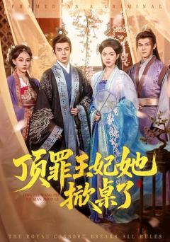 《顶罪王妃她掀桌了》