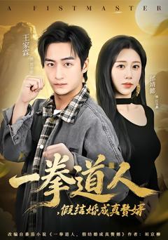 《一拳道人，假结婚成真赘婿》