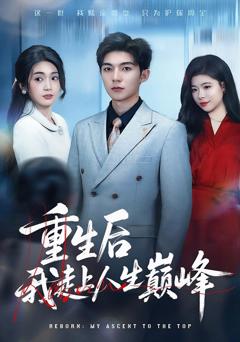 《重生后我走上人生巅峰》