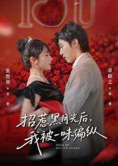 《招惹黑月光后，我被一味偏纵》