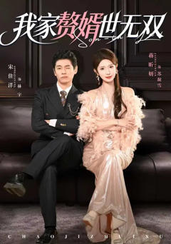 《我家赘婿世无双》