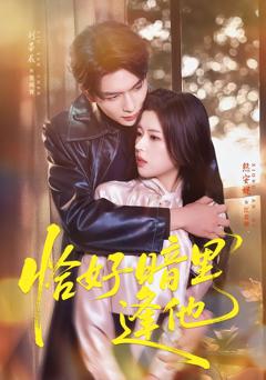 《恰好暗里逢他》