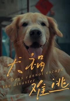 《犬祸难逃》