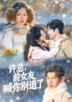 《许总，前女友喊你别追了》