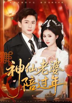 《神仙老婆陪过年》