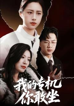 《我的专机你敢坐》