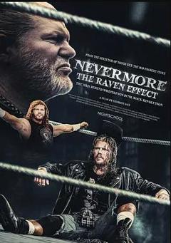 《永不复返：渡鸦效应》