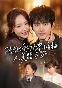 陆教授的九零小青梅，人美路子野