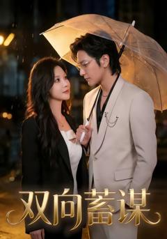 《双向蓄谋》