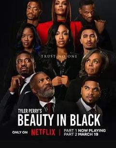 黑色丽人第二季