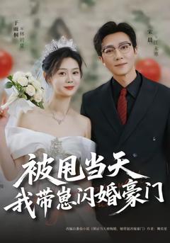 《被甩当天我带崽闪婚豪门》