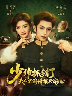 《少帅抓错了，夫人不偷情报只偷心》