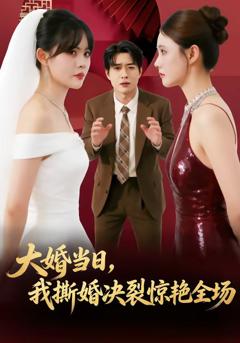 《大婚当日，我撕婚决裂惊艳全场》