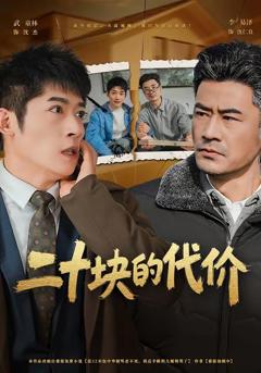 《二十块的代价》