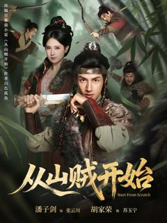 《从山贼开始》