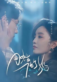 《周先生，借个婚》