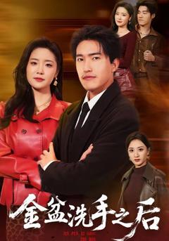 《金盆洗手之后》