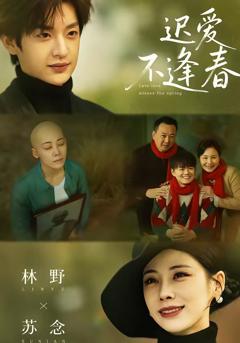 《迟爱不逢春》