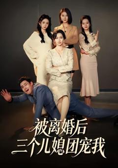 《被离婚后三个儿媳团宠我》