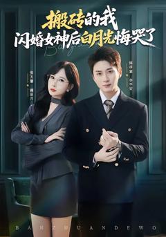 《搬砖的我，闪婚女神后白月光悔哭了》