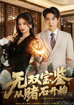 《无双宝鉴，从赌石开始》