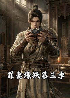 《罪妻缘铁第三季》