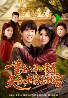 《重生八零，带着天仙老婆去致富》