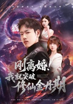 《刚离婚！我就突破修仙金丹期》