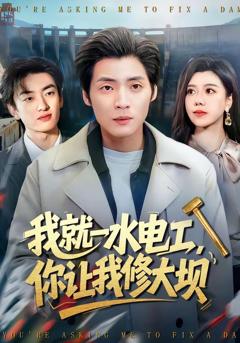 《我就一水电工，你让我修大坝》