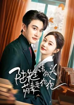 《陆先生请低头萌妻要抱抱》