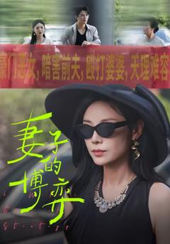 《妻子的博弈》