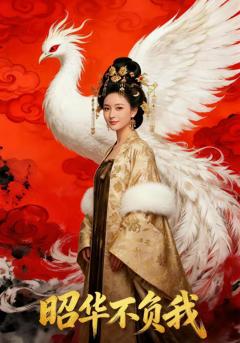 《昭华不负我》