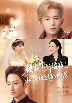 《糟糕！新婚夜！和姐姐走错了婚房》