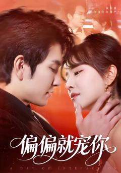 《偏偏就宠你》