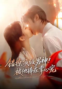 《错撩顶级男神！被他捧在掌心宠》