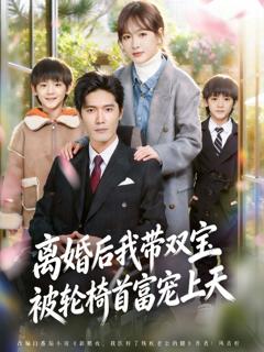 《离婚后我带双宝被轮椅首富宠上天》