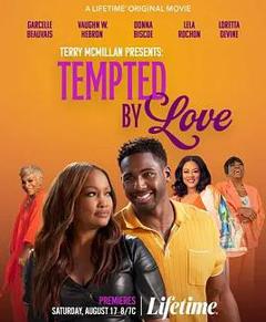 《爱情的诱惑：特里·麦克米伦演讲》