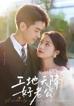 《工地天降好老公》