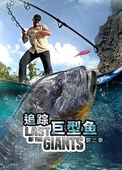 追踪巨型鱼第二季