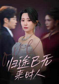 《归途已无来时人》