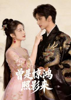 《曾是惊鸿照影来》